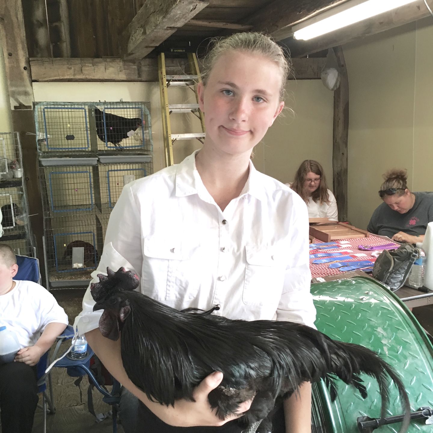 Chicken 2